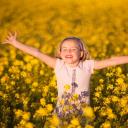 Flower field